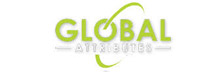 Global Attributes